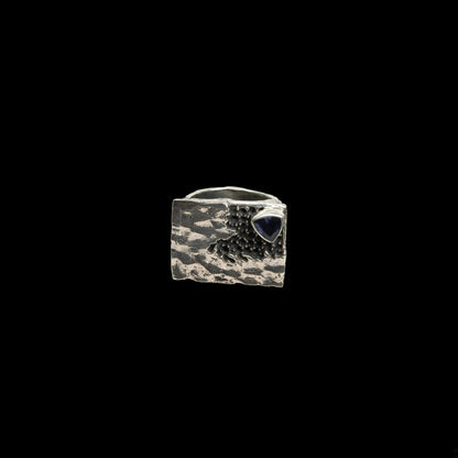 "Discover" ring