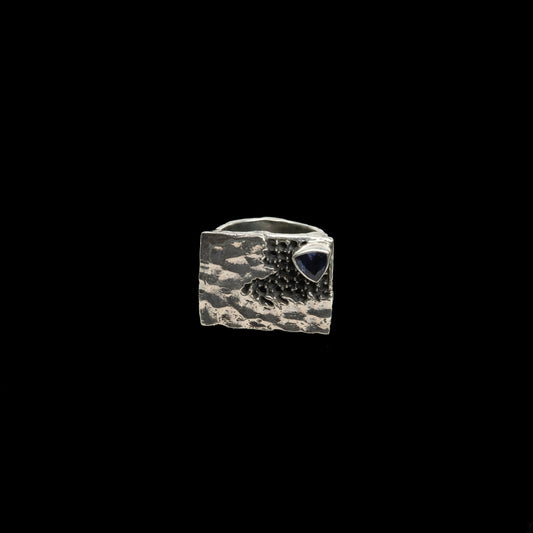 "Discover" ring