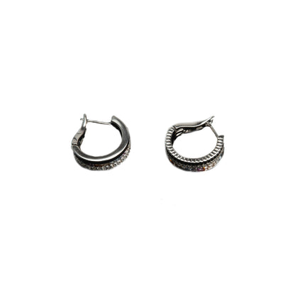 "Spectrum" earrings