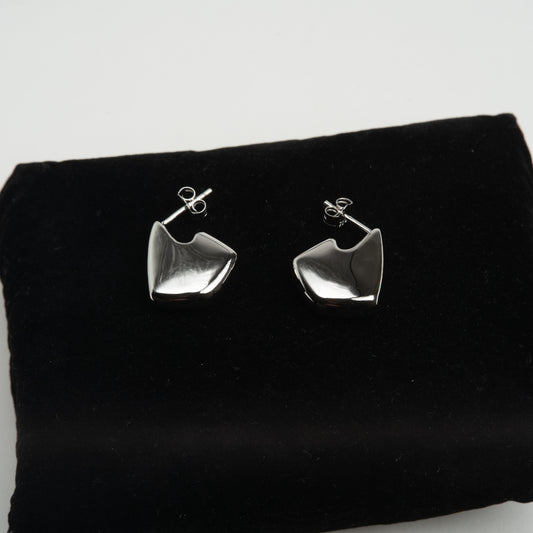 "Silver Echo" Earrings