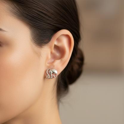 Cercei Argint "Gentle Giant"